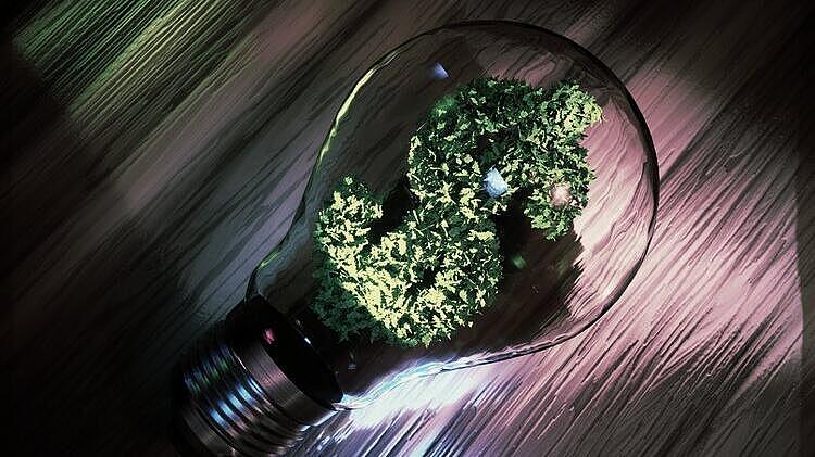 Cleantech startups: German utilities bridging the valley of death?