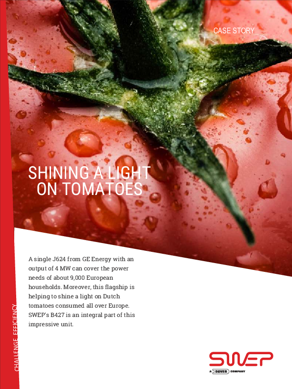 Shining a light on Tomatoes