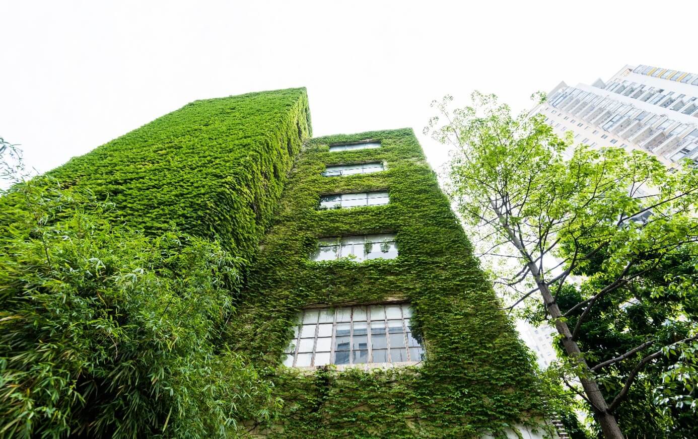 Inverdimento delle facciate - "Buono per l'ambiente e il fattore benessere".
